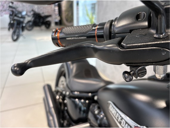HARLEY-DAVIDSON FLSL Softail Slim 107, 0006838