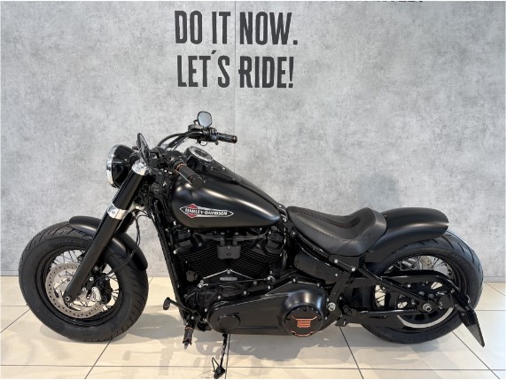 HARLEY-DAVIDSON FLSL Softail Slim 107, 0006838