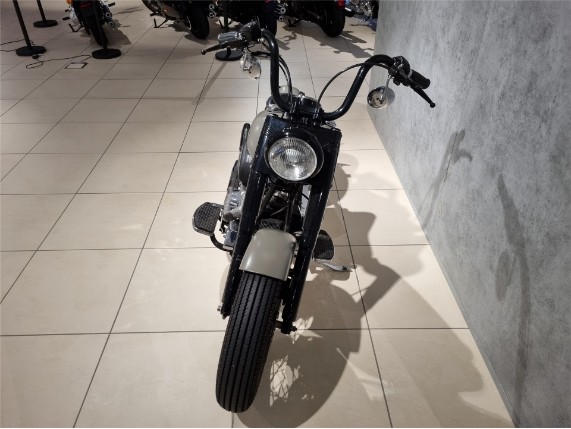 Harley-Davidson FLSTF Softail Fat Boy, 1HD1BML16TY041649