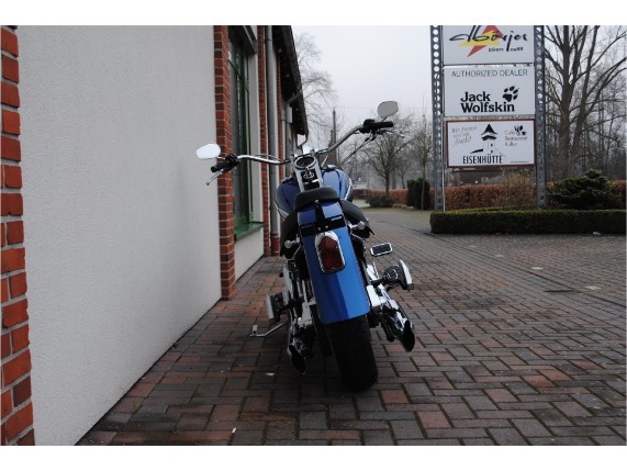 HARLEY-DAVIDSON FLSTSC Softail Springer Class, 5HD1BYB185Y070123