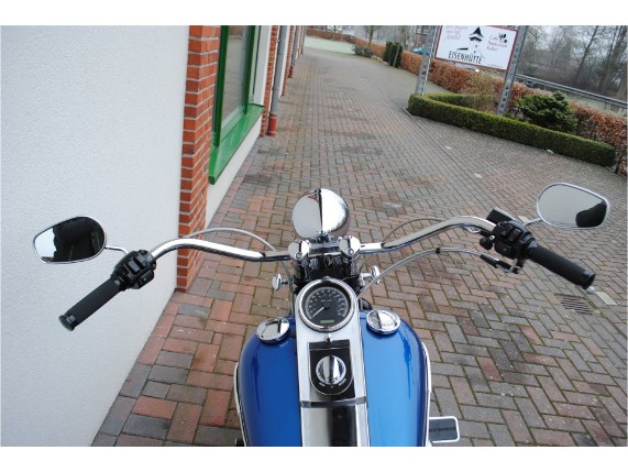 HARLEY-DAVIDSON FLSTSC Softail Springer Class, 5HD1BYB185Y070123