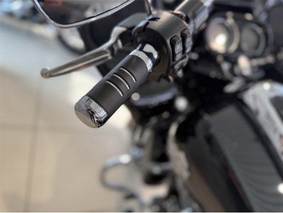 HARLEY-DAVIDSON FLTRXS Road Glide Special, 0010338