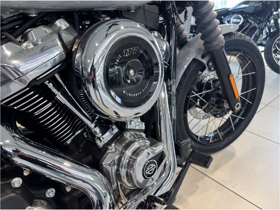 HARLEY-DAVIDSON FXBB Softail Street Bob 117, 0010263