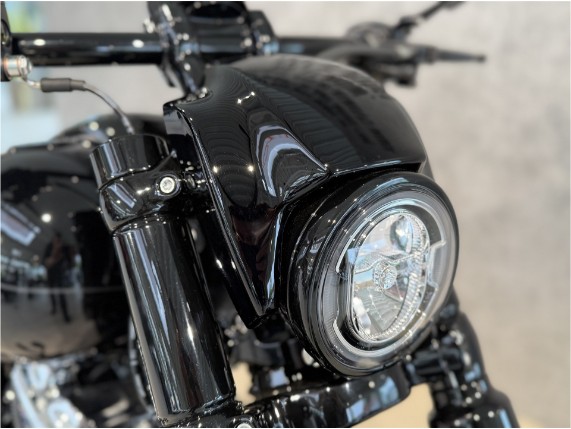 Harley-Davidson FXBR Softail Breakout 117, 0010874