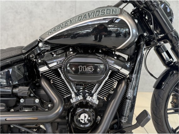 HARLEY-DAVIDSON FXBRS Breakout 114 Anniversary, 0011083