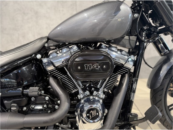 HARLEY-DAVIDSON FXBRS Softail Breakout, 0006755