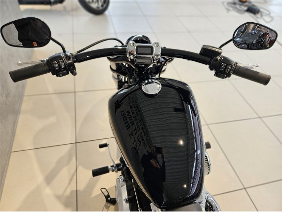 HARLEY-DAVIDSON FXBRS Softail Breakout, 0006995