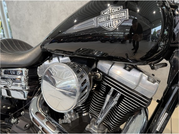 HARLEY-DAVIDSON FXDF Dyna Fat Bob, 0001394