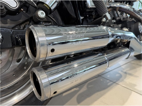 HARLEY-DAVIDSON FXDF Dyna Fat Bob, 0001394