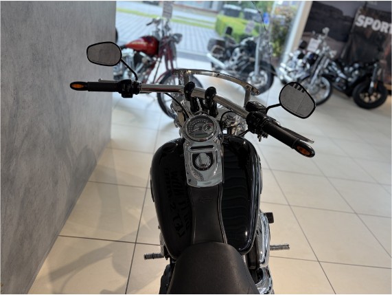 HARLEY-DAVIDSON FXDF Dyna Fat Bob, 0006229