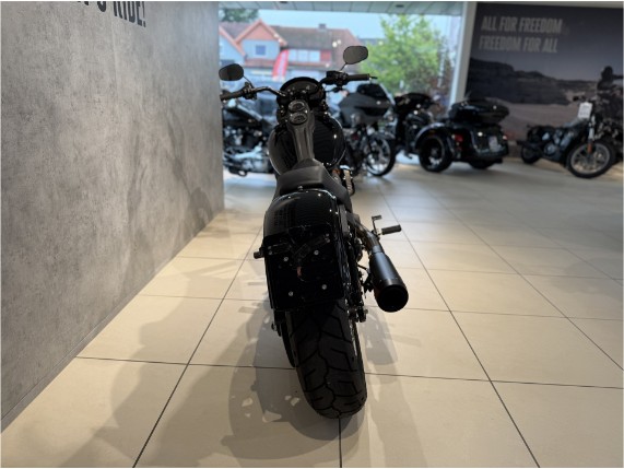 HARLEY-DAVIDSON FXLRS Low Rider S, 0006134