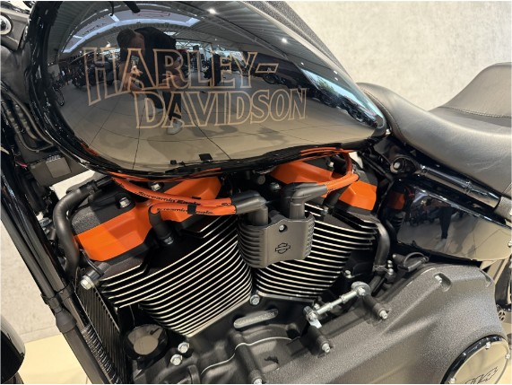 HARLEY-DAVIDSON FXLRS Low Rider S, 0006134