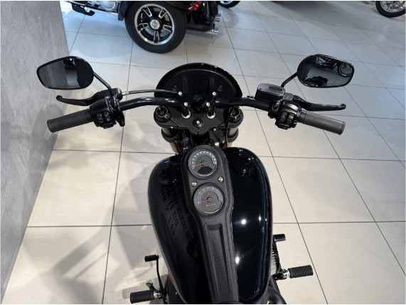 HARLEY-DAVIDSON FXLRS Low Rider S, 0006134