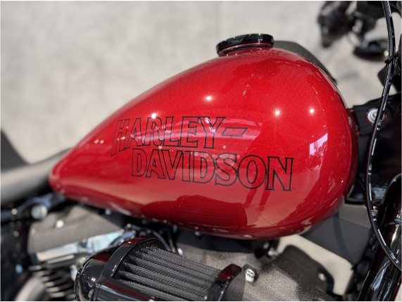 HARLEY DAVIDSON FXLRS Low Rider S, 0009598