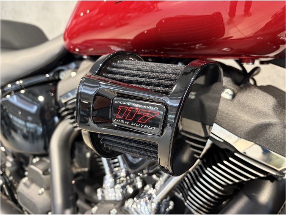 HARLEY DAVIDSON FXLRS Low Rider S, 0009598