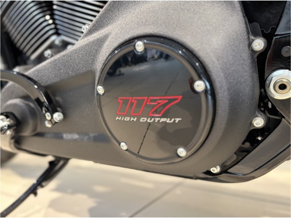 HARLEY DAVIDSON FXLRS Low Rider S, 0009598