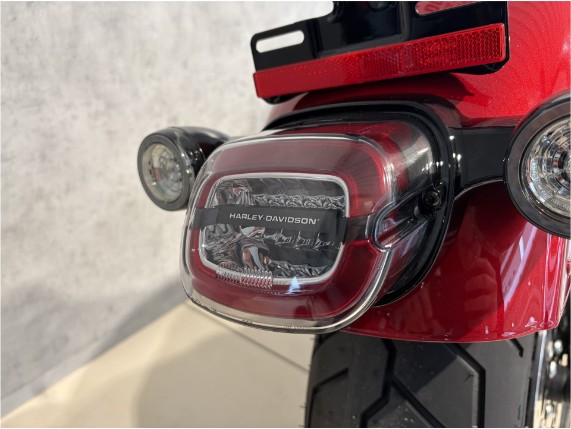 HARLEY DAVIDSON FXLRS Low Rider S, 0009598