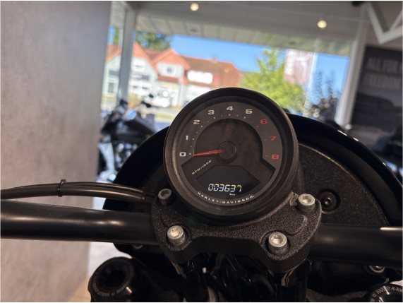HARLEY-DAVIDSON FXLRS Low Rider S 117, 0007757