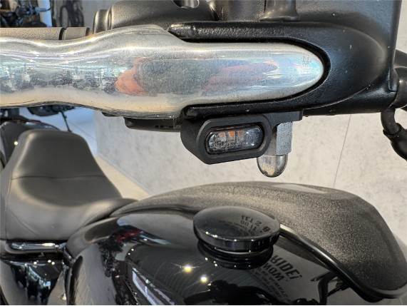 HARLEY-DAVIDSON FXLRS Low Rider S 117, 0007757
