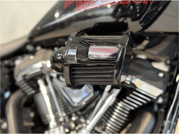 HARLEY DAVIDSON FXLRST Softail Low Rider ST, 0007635