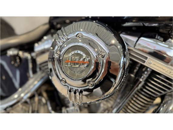 HARLEY-DAVIDSON FXSTSSE CVO Softail Springer, 1HD1PT9367Y955894