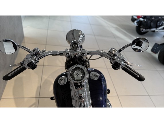 HARLEY-DAVIDSON FXSTSSE CVO Softail Springer, 1HD1PT9367Y955894