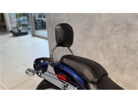 HARLEY-DAVIDSON FXSTSSE CVO Softail Springer, 1HD1PT9367Y955894