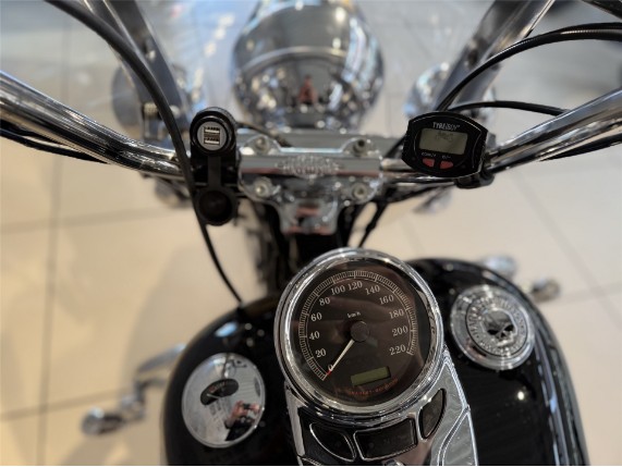 HARLEY-DAVIDSON HERITAGE SOFTAIL, 0002785