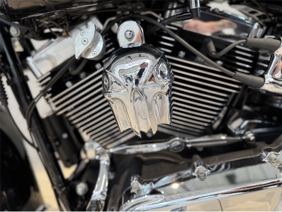 HARLEY-DAVIDSON HERITAGE SOFTAIL, 0002785