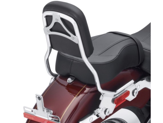 Harley-Davidson_HoldFast_Sissybar_standard-chrom-hinten