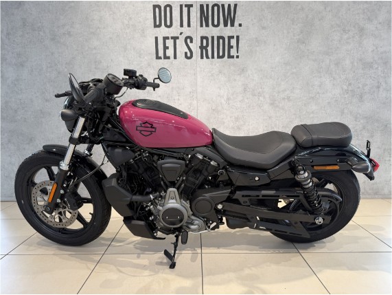 HARLEY-DAVIDSON Nightster, 0009446