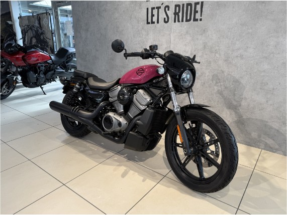 HARLEY-DAVIDSON Nightster, 0009446