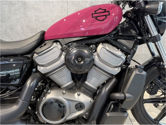HARLEY-DAVIDSON Nightster, 0009446