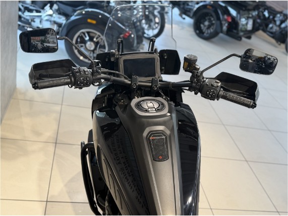 HARLEY-DAVIDSON RA1250 Pan America Special, 0006584