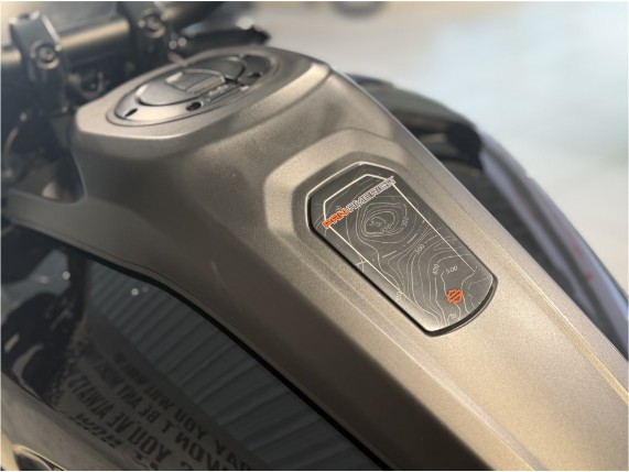 HARLEY-DAVIDSON RA1250 Pan America Special, 0006584