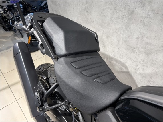 HARLEY-DAVIDSON RA1250S Pan America Special, 0010461