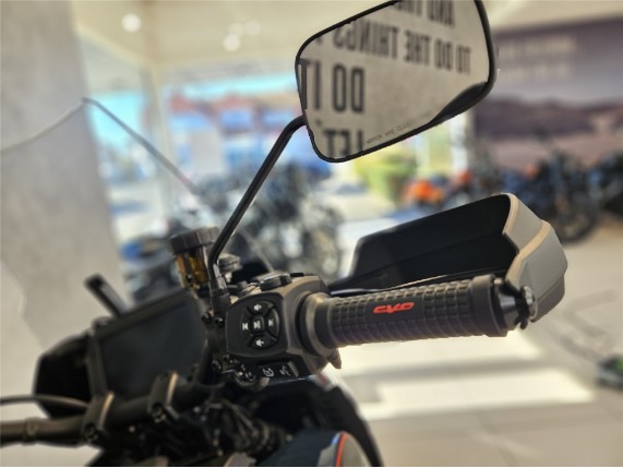 HARLEY-DAVIDSON RA1250SE CVO Pan America, 0009599