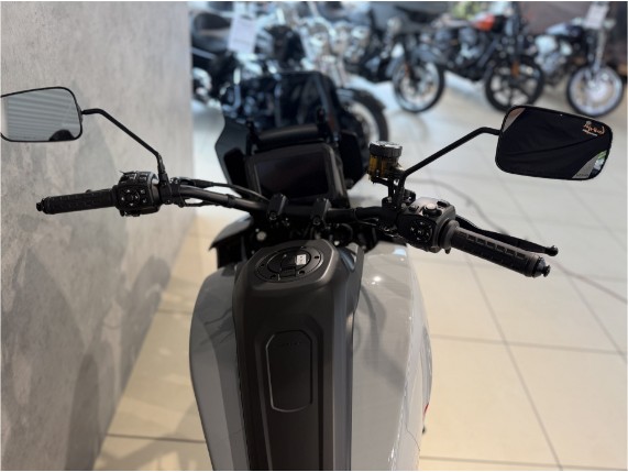 HARLEY-DAVIDSON RA1250ST Pan America ST, 0011365