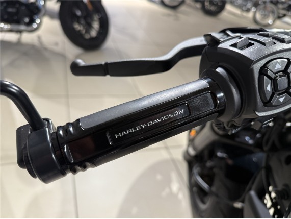 HARLEY-DAVIDSON RH1250S Sportster S, 0007375