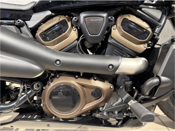 HARLEY-DAVIDSON RH1250S Sportster S, 0010769