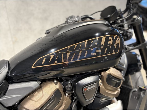 HARLEY-DAVIDSON RH1250S Sportster S, 0010769
