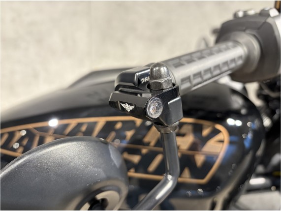 HARLEY-DAVIDSON RH1250S Sportster S, 0010769