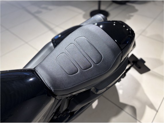 HARLEY-DAVIDSON RH1250S Sportster S, 0010769