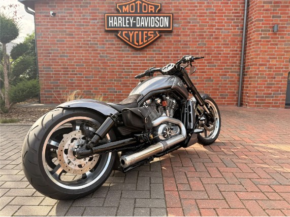 HARLEY-DAVIDSON V-ROD MUSCLE, 0011484