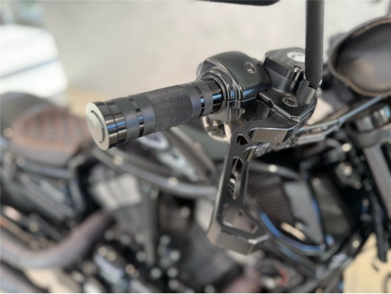 HARLEY-DAVIDSON VRSCDX Night Rod Special, 0004833