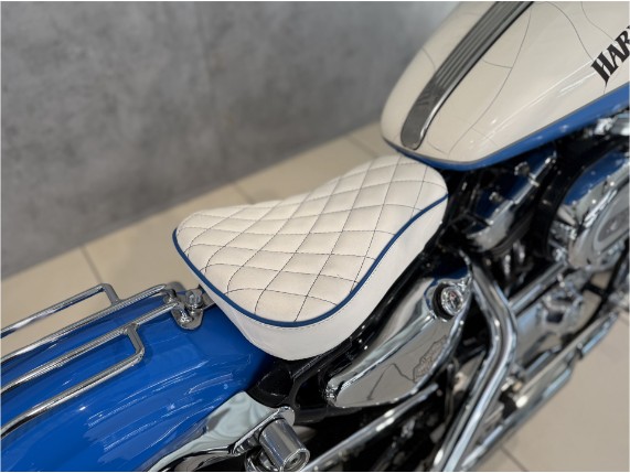 HARLEY-DAVIDSON XL1200C Sporster Custom, 0010171