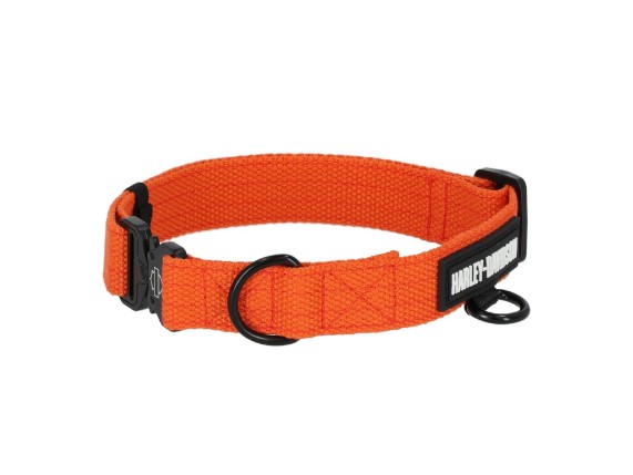 Hundehalsband
