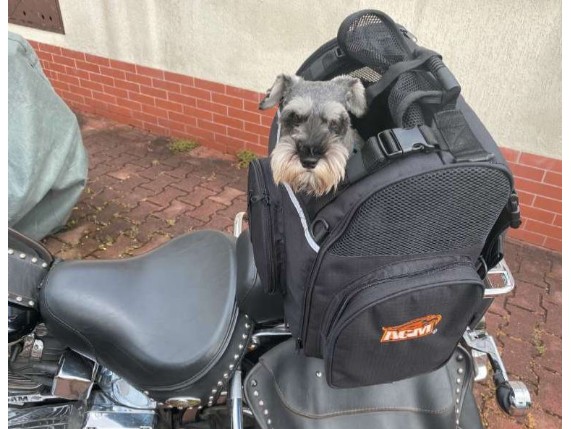 Hundetasche_1