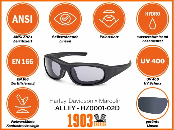 HZ0001-02D_Alley-Motorradbrille_Info