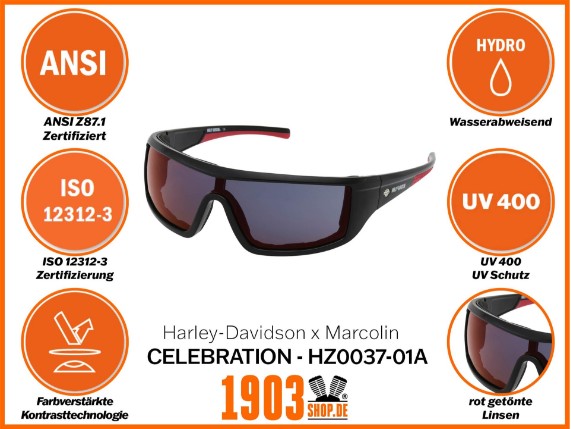 HZ0037-01A-Celebration-Motorradbrille_Info (1)
